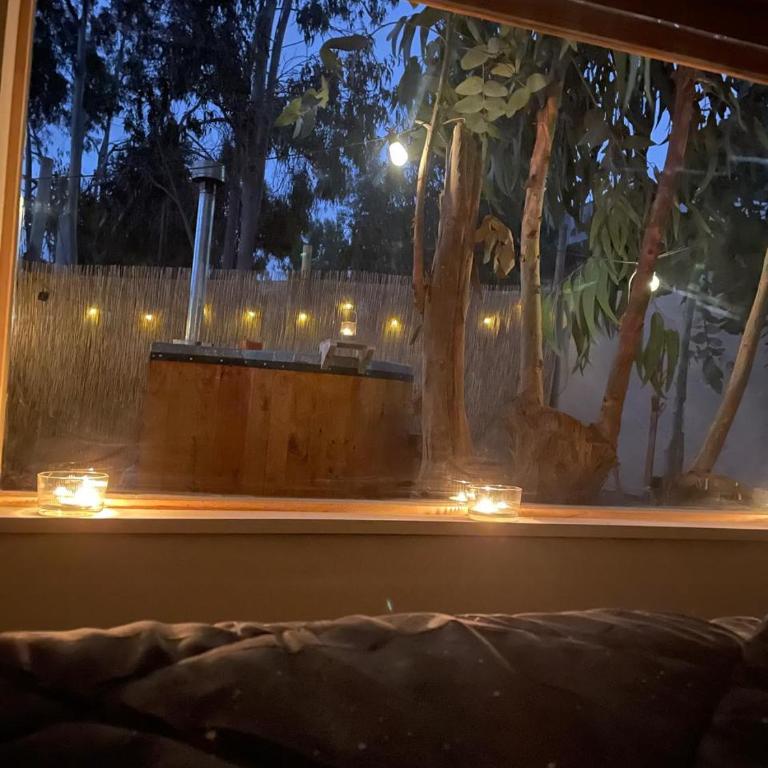 Tiny House con tinaja - One-Bedroom Apartment - 17