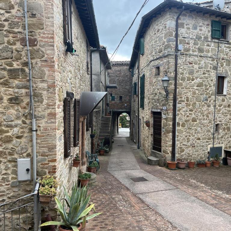 La casina del borgo - Monolocale Nettuno - Appartamento con 1 Camera da Letto - 15