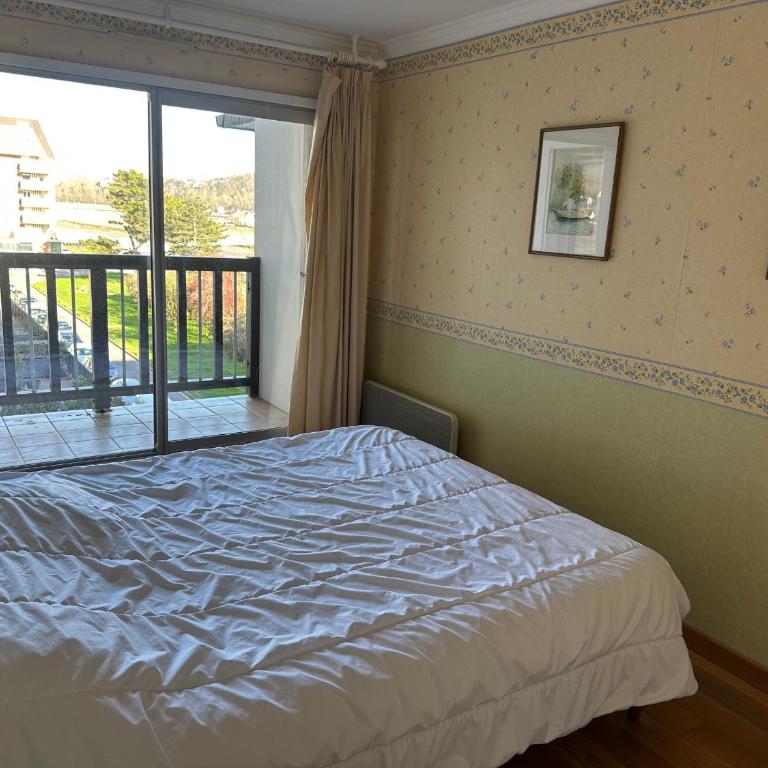 Appartement 3 pièces en front de mer avec balcons, à Cabourg, proche centre-ville. - FR-1-487-275 - Appartamento (8 Adulti) - 5