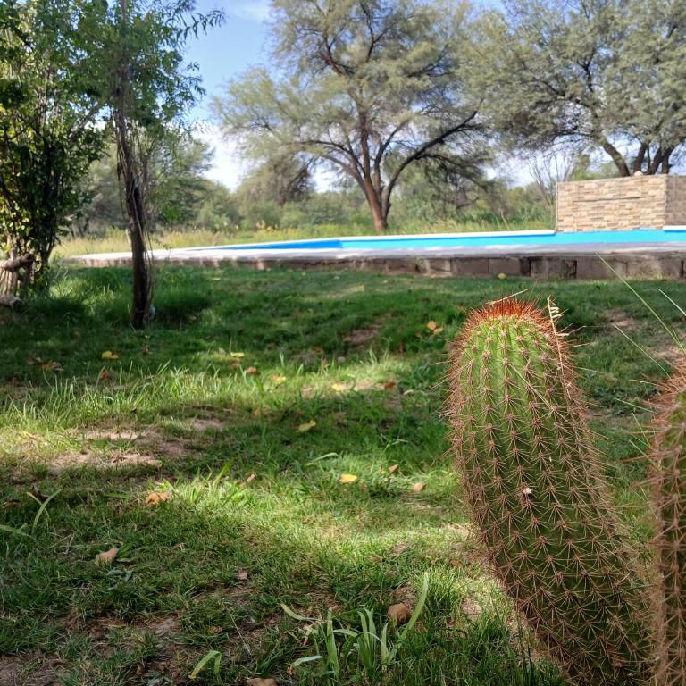 Casa de campo Luisa - Three-Bedroom Vacation Home - 24