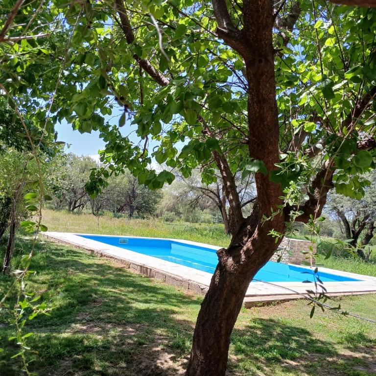 Casa de campo Luisa - Three-Bedroom Vacation Home - 26