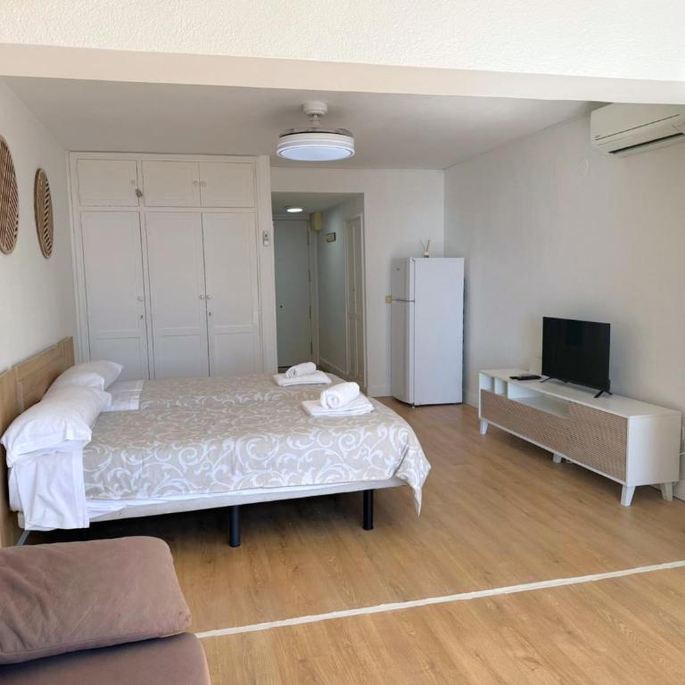 Albatros 11 - Apartamento de 1 dormitorio - 21