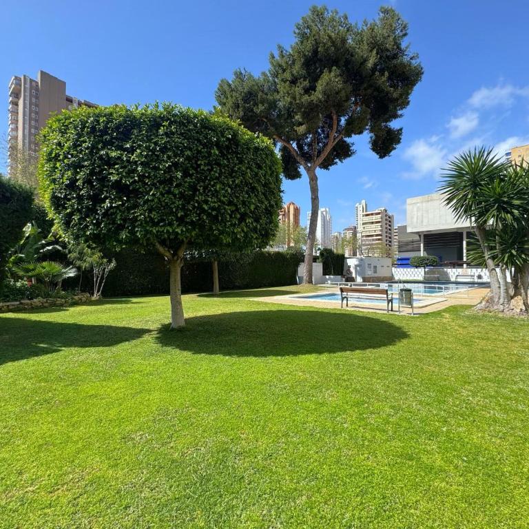Albatros 11 - Apartamento de 1 dormitorio - 30