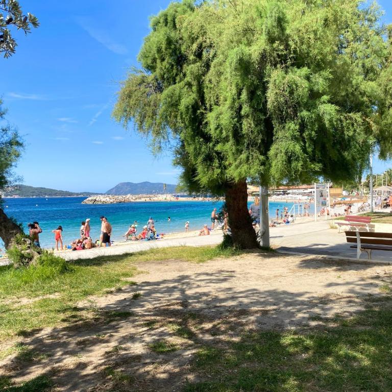 Terre du Sud - Appartement lumineux proche plage et centre Toulon - Apartment mit 1 Schlafzimmer - 18