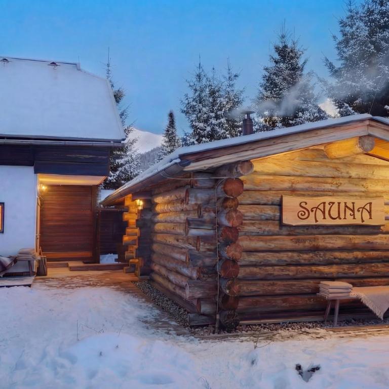 MountainView Lodge - Sauna, Balkon, 300 m zur Gondel - Apartment mit Blick auf die Berge - 4