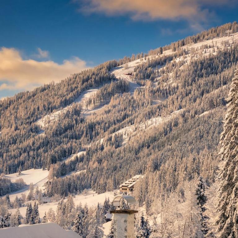 MountainView Lodge - Sauna, Balkon, 300 m zur Gondel - Apartment mit Blick auf die Berge - 8