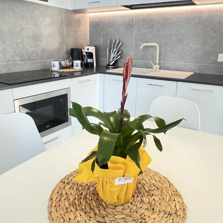 Sottovento Beths House - Appartamento con 2 Camere da Letto - 8