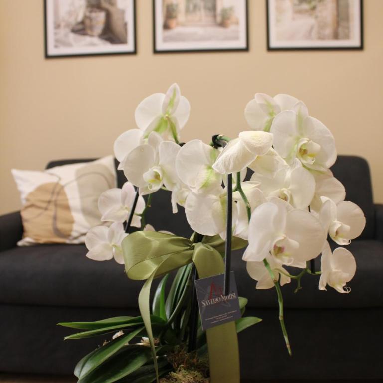 Borgese Apartments - Appartamento con 1 Camera da Letto - 23