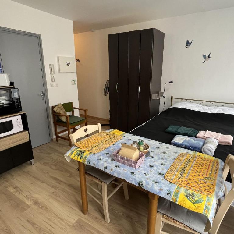 Le Perchoir d'Amélie - Studio Calme et lumineux à 50 m des Thermes - Classé 2 étoiles - Apartment mit 1 Schlafzimmer - 12