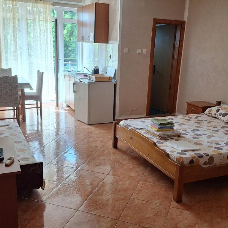 Ivanovic Family Studio Apartments - Family Studio - 6