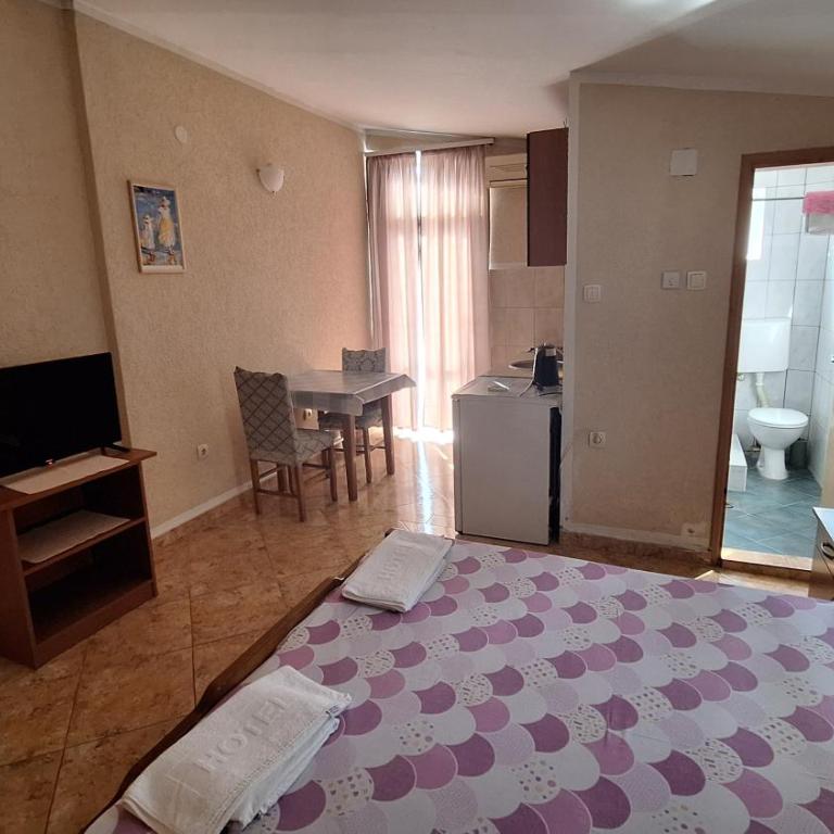 Ivanovic Family Studio Apartments - Studio with Garden View - 6