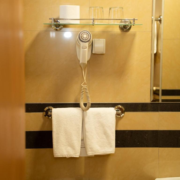 Villa Forest - Dvokrevetna Soba sa Bračnim Krevetom i Sopstvenim Kupatilom - 20