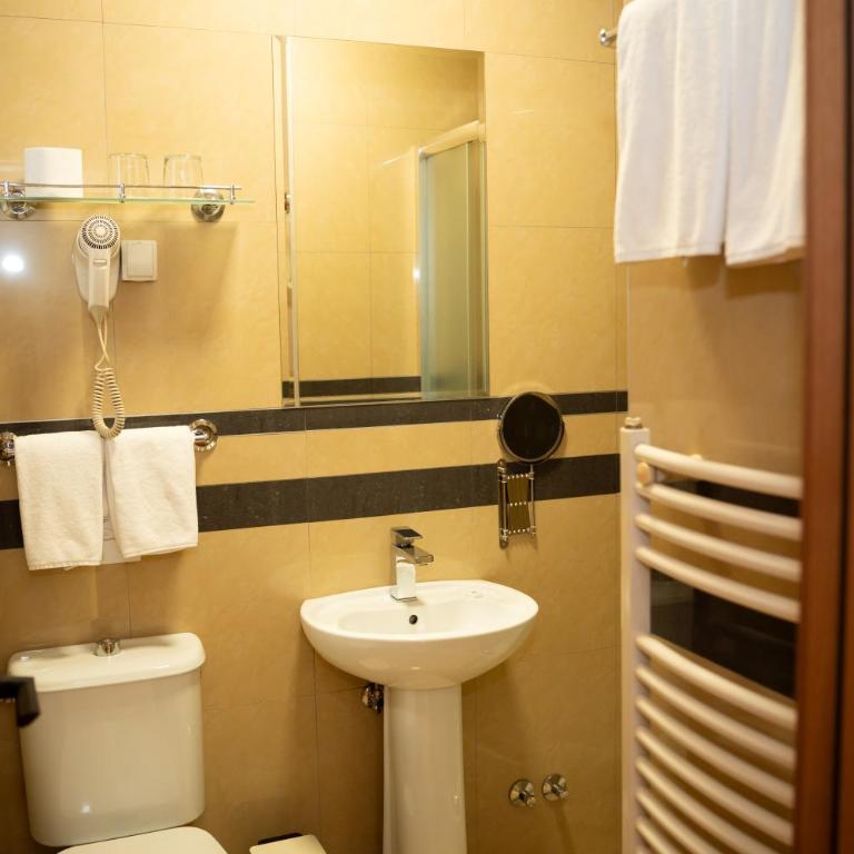 Villa Forest - Dvokrevetna Soba sa Bračnim Krevetom i Sopstvenim Kupatilom - 19