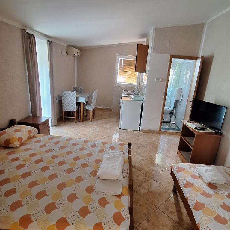 Ivanovic Family Studio Apartments - Studio with Mountain View - 4