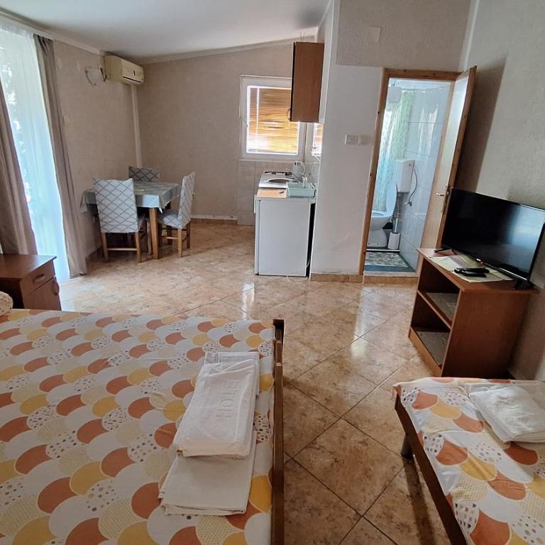 Ivanovic Family Studio Apartments - Studio with Mountain View - 5