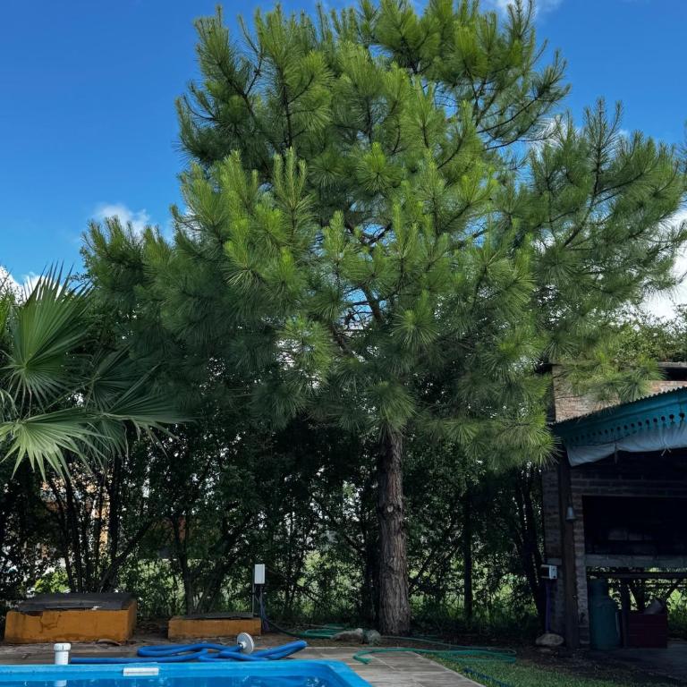 Casa quinta con pileta y parque en San Pedro - Two-Bedroom House - 14