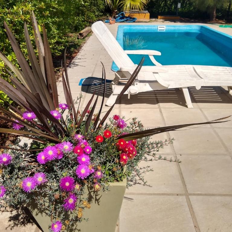 Casa quinta con pileta y parque en San Pedro - Two-Bedroom House - 10