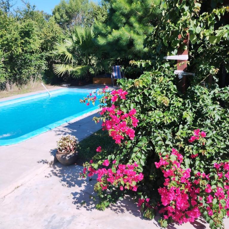Casa quinta con pileta y parque en San Pedro - Two-Bedroom House - 17