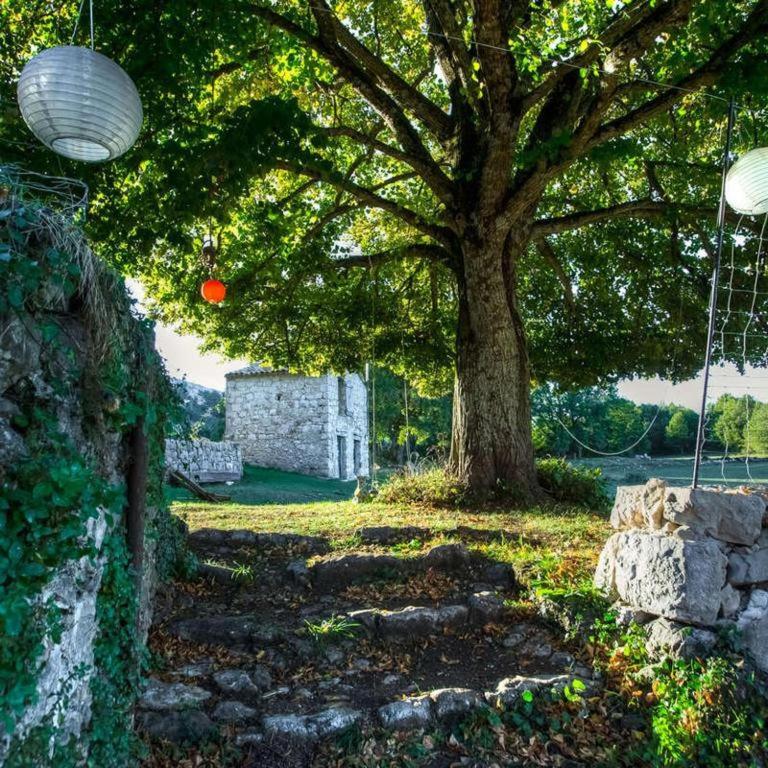 Maison Nomade Provence - MaisonNomadeChic - Chambre Simple - Vue sur Montagne - 1