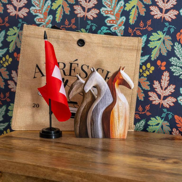 Chic and Cozy apartment in St Moritz with free parking - Apartment - 17