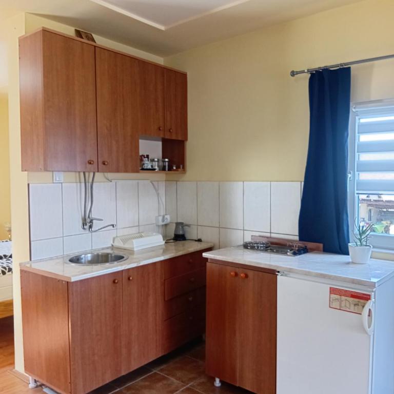Apartman Sasa - Apartman sa 1 Spavaćom Sobom - 4