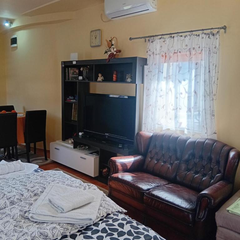 Apartman Sasa - Apartman sa 1 Spavaćom Sobom - 6