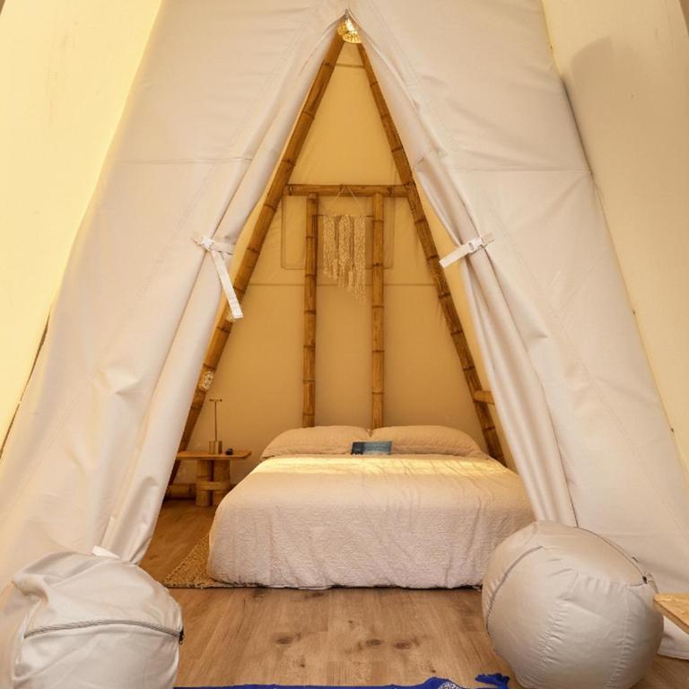 Narea San Bartolo - Tienda - 5