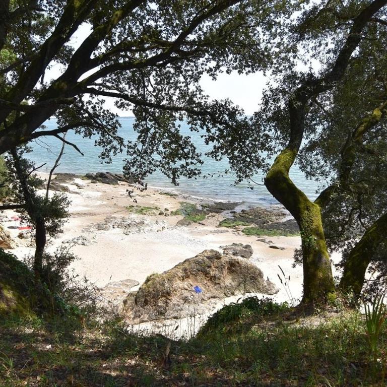 Le Coquelicot-T2, 100m de la plage, cœur commando - Appartement 1 Chambre - 27