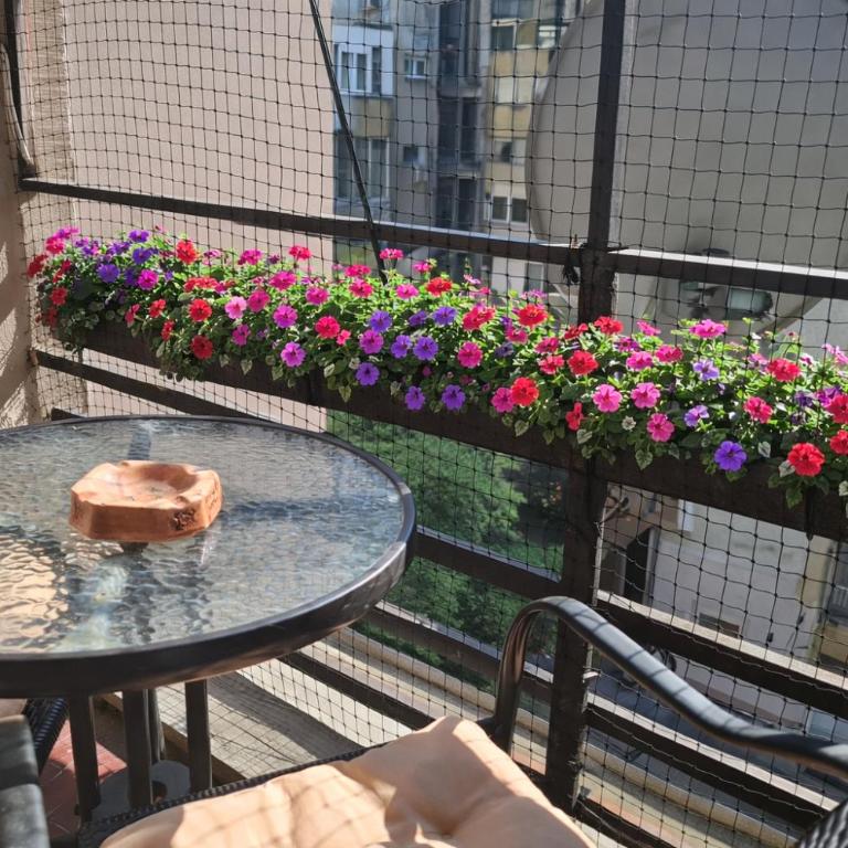 Apartment next to the temple of Saint Sava - Apartman sa 1 Spavaćom Sobom - 8