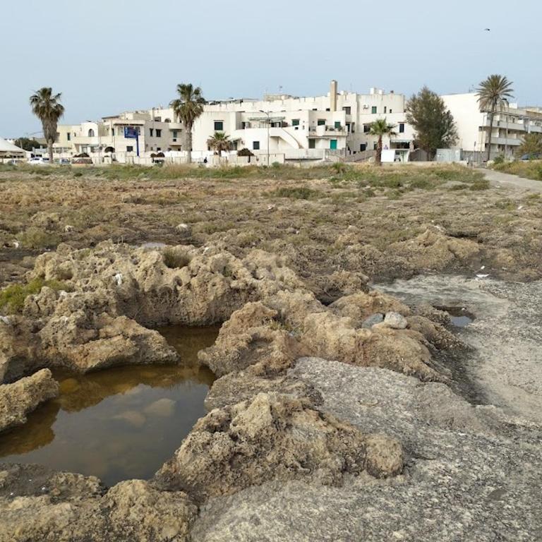 Smart Apartment by the Sea near Palermo, Sicily - Apartment mit 1 Schlafzimmer - 9
