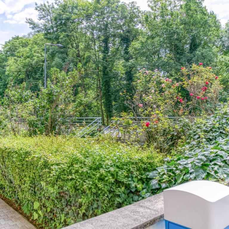 T3, 2 chambres, Îles verte, Proche Hôpital, Parking gratuit - Apartment mit 1 Schlafzimmer - 18