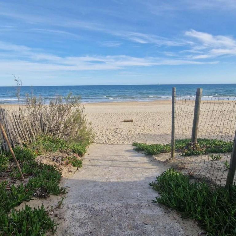 Appartement T2 avec Terrasse, Piscine et Parking Privé - Marseillan - FR-1-326-826 - Appartamento - 14