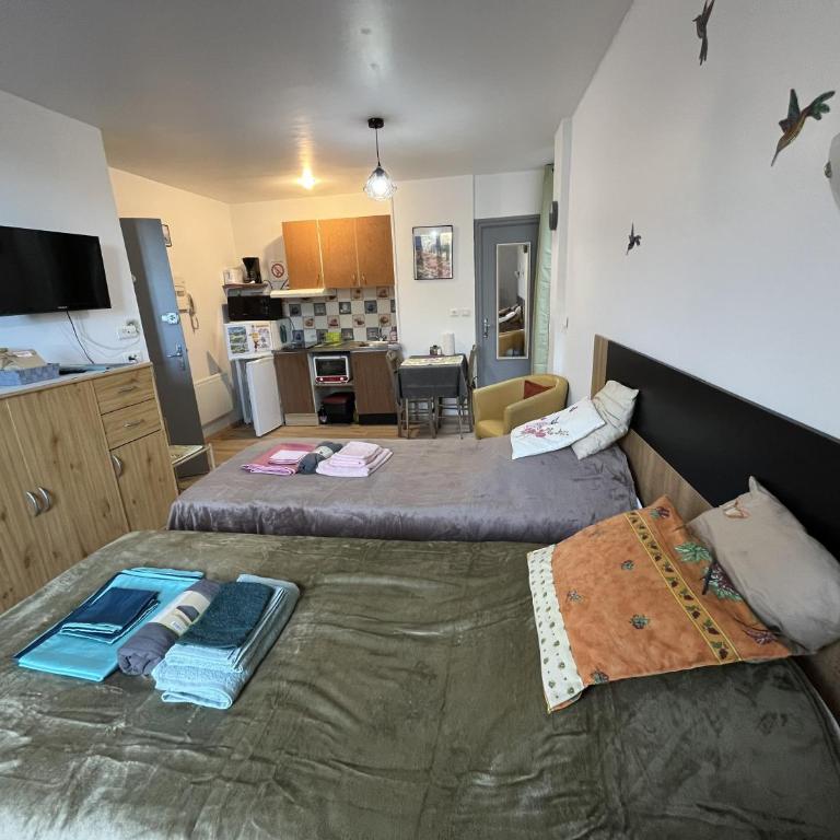 Le Petit Roitelet - Studio Calme et lumineux à 50 m des Thermes - Classé 2 étoiles - Apartamento de 1 dormitorio - 5
