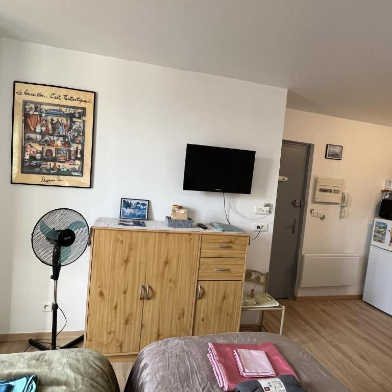 Le Petit Roitelet - Studio Calme et lumineux à 50 m des Thermes - Classé 2 étoiles - Apartamento de 1 dormitorio - 9