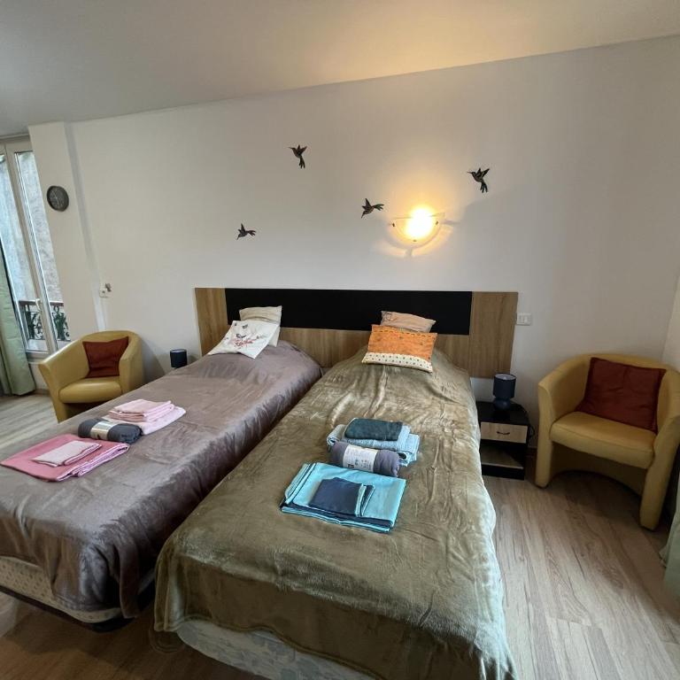 Le Petit Roitelet - Studio Calme et lumineux à 50 m des Thermes - Classé 2 étoiles - Apartamento de 1 dormitorio - 13