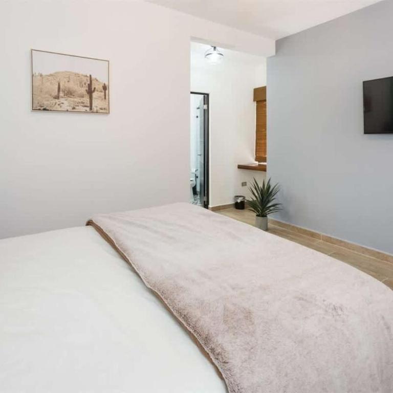 Contemporary In-Town Home with Pool Casa Cactus - Apartment - 20