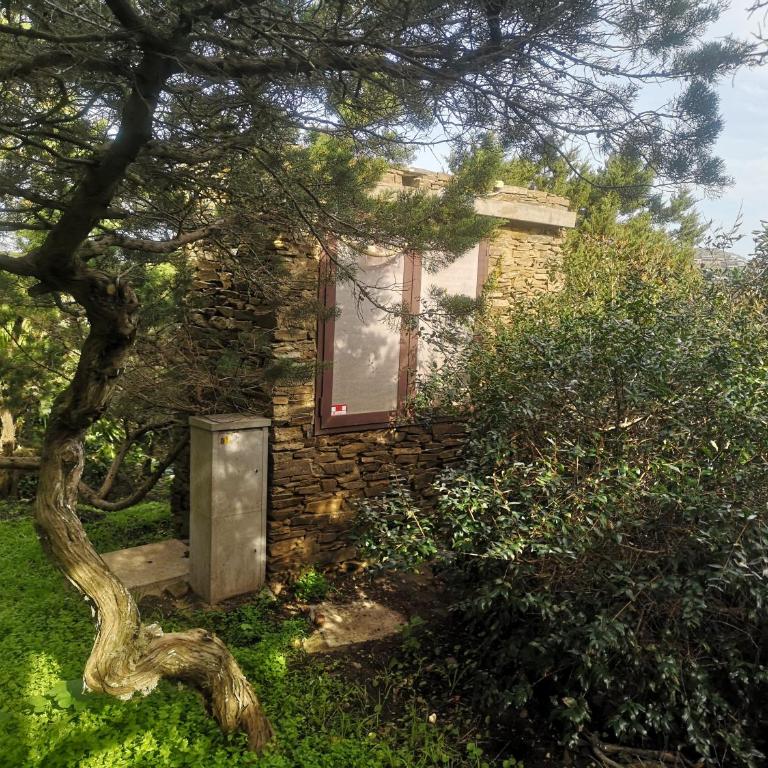 Rosa dei Venti, villetta immersa nel verde con vista Asinara - Appartamento con Vista Mare - 74