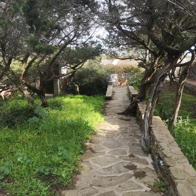 Rosa dei Venti, villetta immersa nel verde con vista Asinara - Appartamento con Vista Mare - 75