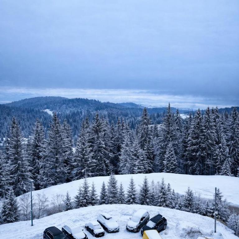 Apartment Bella Mila - Apartman sa 1 Spavaćom Sobom - 14