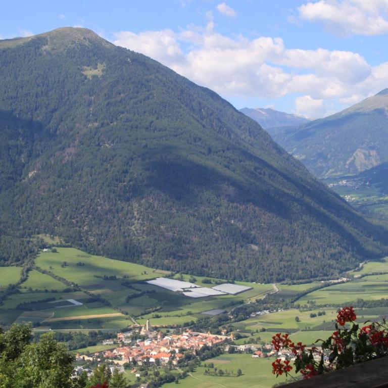 Hofschank Reinalterhof - Apartment - 16