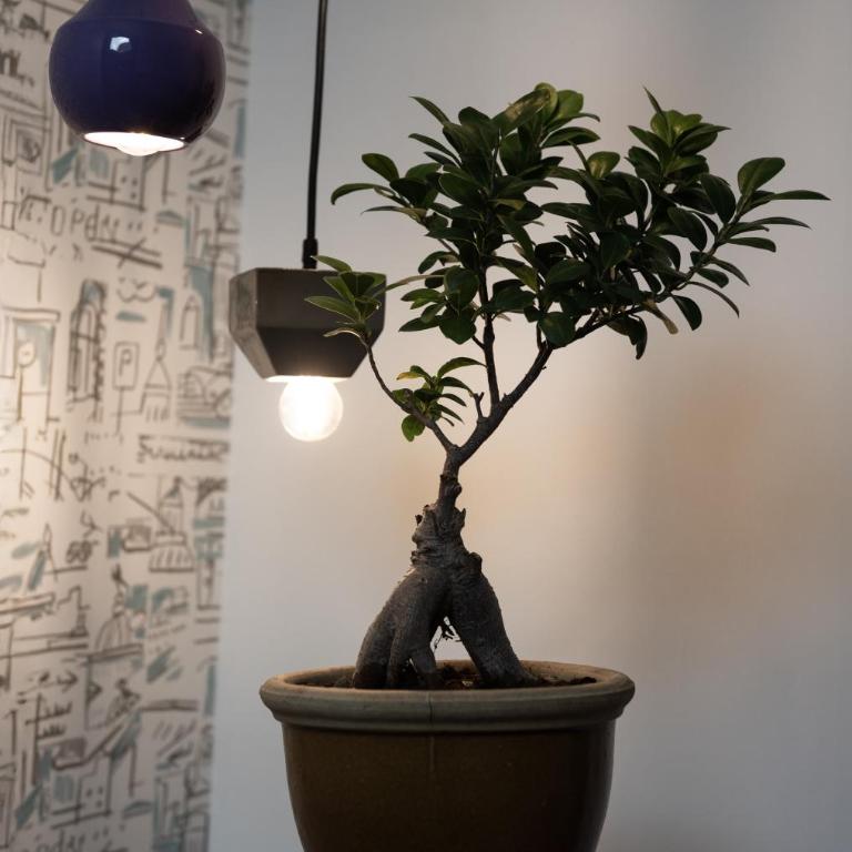 Casa Mindivò, Magia Tra i Tetti del Centro Storico! - Two-Bedroom Apartment - 28