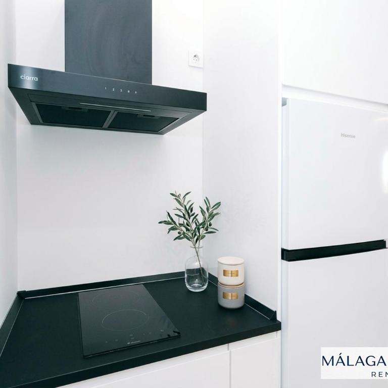 Malaga Sunshine Rentals - NEW PICASSO PLAZA - - Apartamento de 2 dormitorios - 9