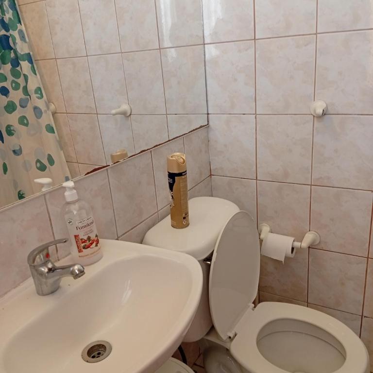 Ilse - One-Bedroom Apartment - 1