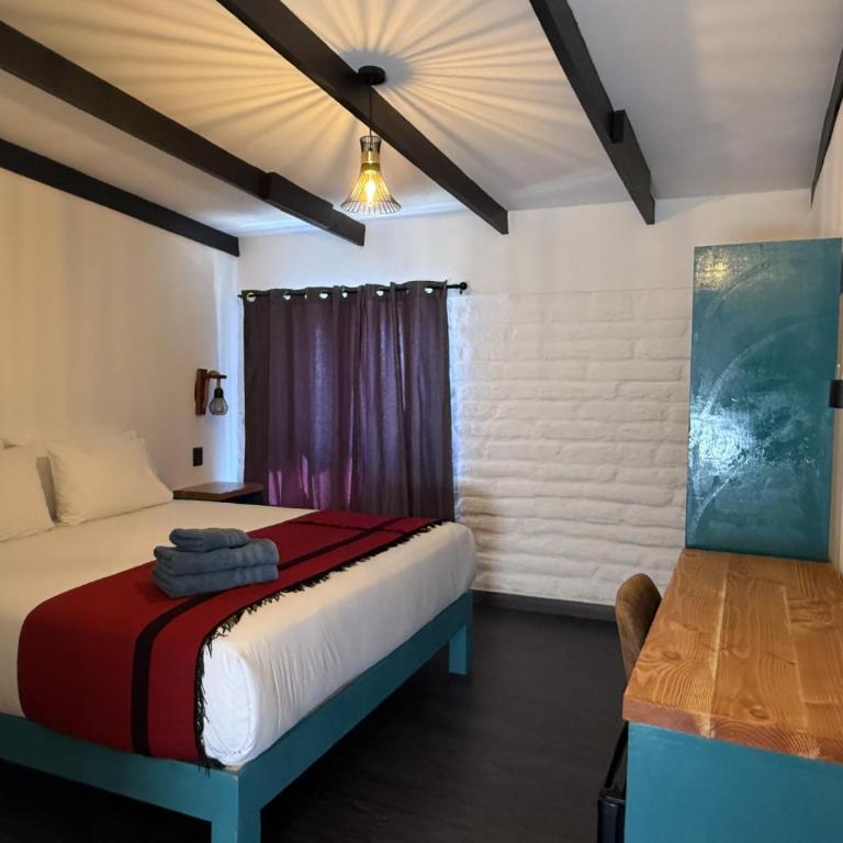 Ckoinatur Hostel - Standard Double Room - 4