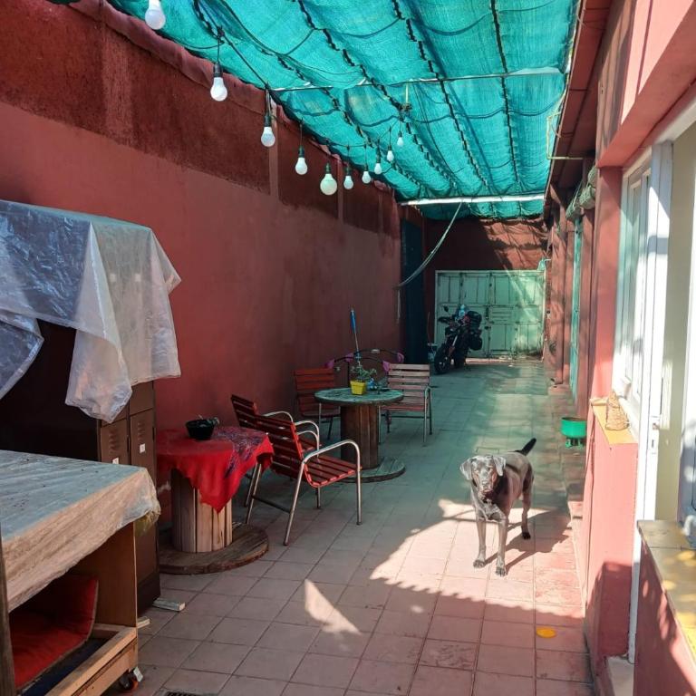 La Casona Hostel - Habitación Individual Estándar - 5