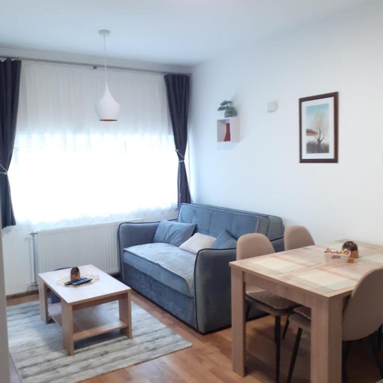 Apartman Anđela i Aleksa Divčibare - Apartman sa 2 Spavaće Sobe - 13