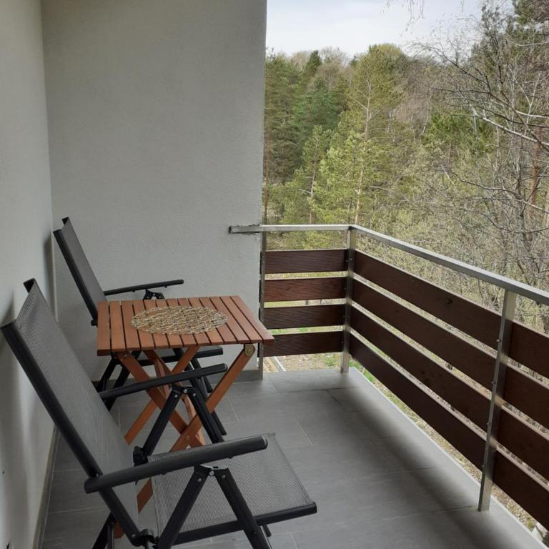 Apartman Anđela i Aleksa Divčibare - Apartman sa 2 Spavaće Sobe - 31