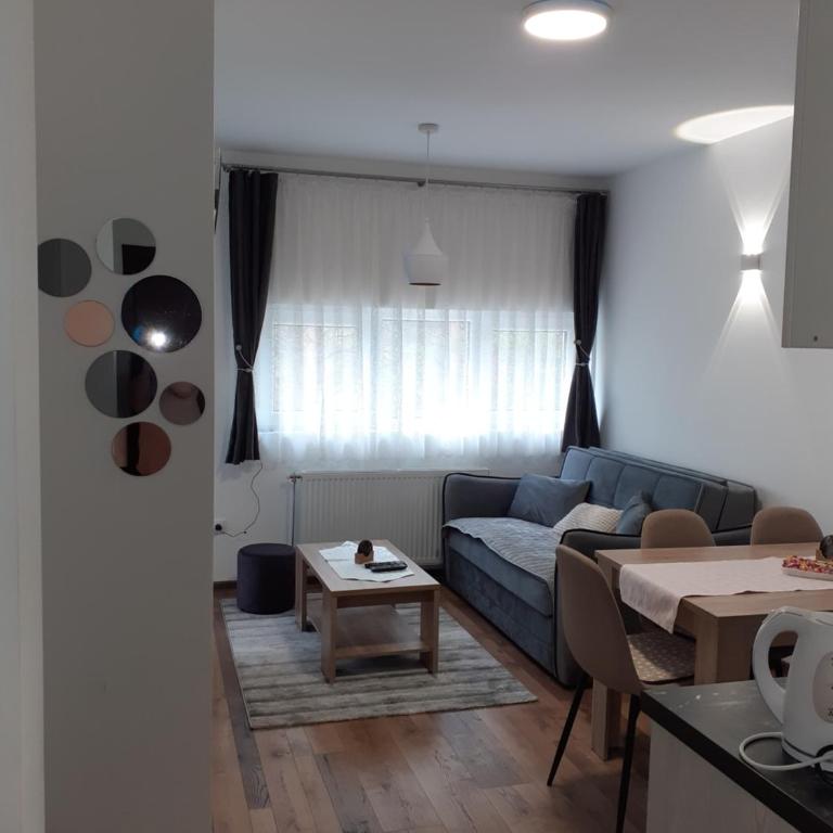 Apartman Anđela i Aleksa Divčibare - Apartman sa 2 Spavaće Sobe - 11