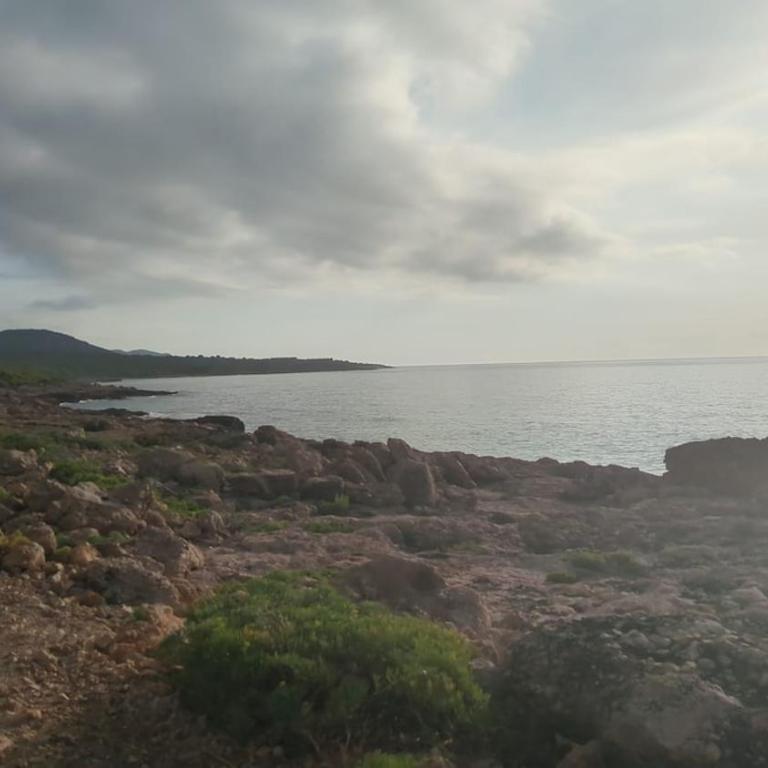Rosa de Irta - entre Sierra y Mar - Apartamento de 2 dormitorios - 32