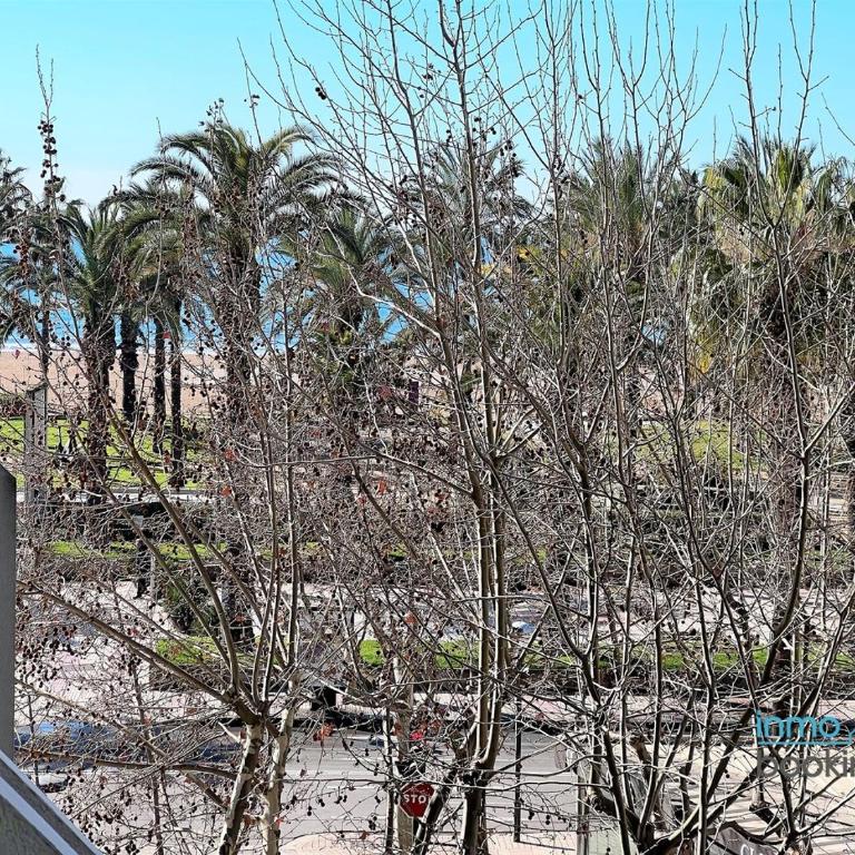 Novelty Beach 3 Salou, climatizado, piscina y playa - Apartamento de 1 dormitorio - 2
